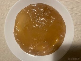 Kombucha / scoby - 1