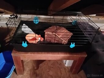 Domček pre morské prasiatko, škrečka