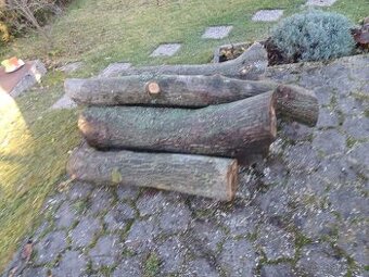 Predám orechové drevo