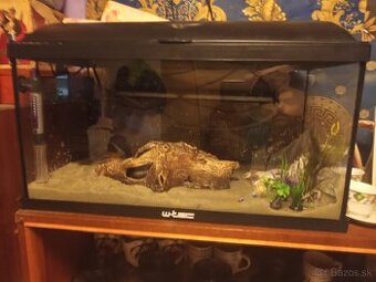 Predavam akvarium koplet ako je na fotke z filtrom ohrevac