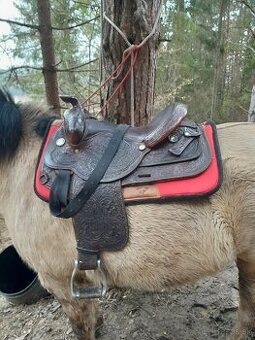 Westernove sedlo circle y