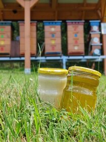 Domáci včelí med