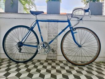 Bicykel ESKA / PREMIER ( favorit ), ........................