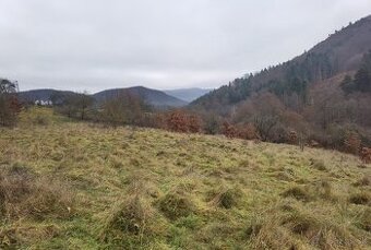 Predám pozemok Horné Hámre