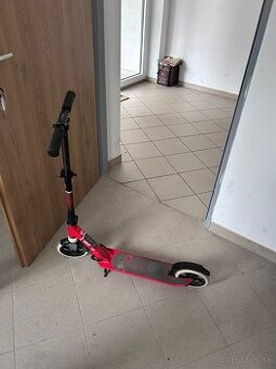 Kolobežka Oxelo