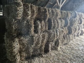 Predám slamu malé balíky