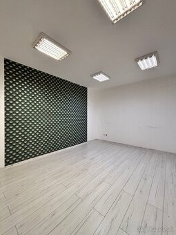 Treef - ponúka na prenájom priestor v centre Trnavy