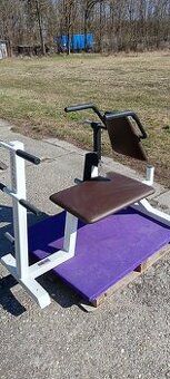 Lavička brucho Gym 80