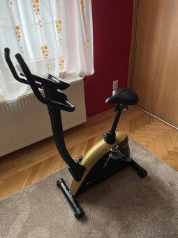 Stacionárny bicykel