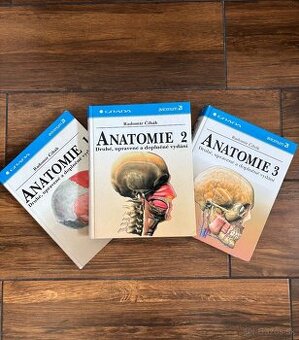 Anatomia Čihak 1,2,3
