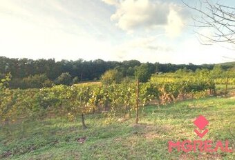 Vinica / Záhrada Pohranice 760 m2