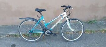 Ctm stefi 1.0 26"