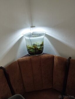 Bezúdržbové akvarium