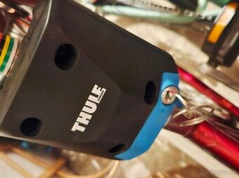 Thule Ride Along