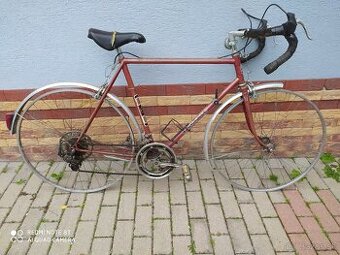 Bicykel favorit 28