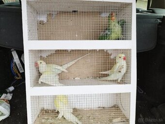 Alexander Veľký a malý