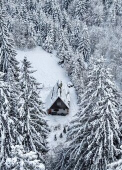 Chata v lese na Liptove