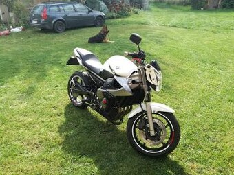 YAMAHA XJ6n
