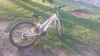 Bicykel 24