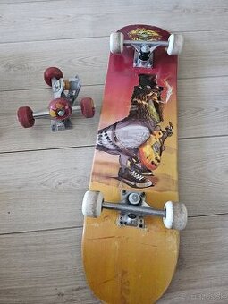 Skateboard