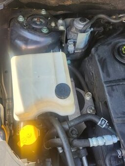 Fiat +mazda