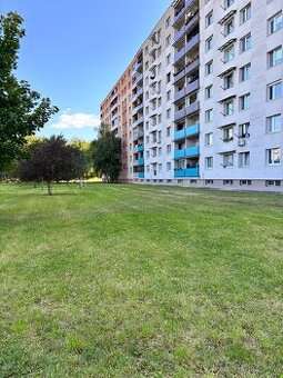 TREEF pripravuje 4-izbový byt - HLBOKÁ ulica