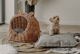 Prútený pelech pre psa alebo mačku -nový