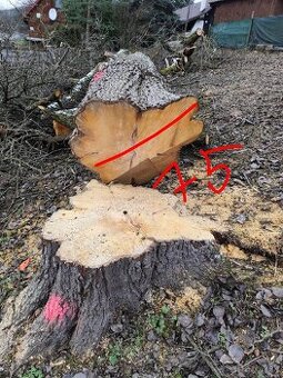 Predám 100r. hrušku - drevo na foršne