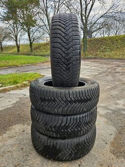 Zimne 195/65 R15