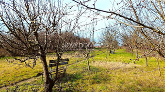 P R E D A J - 119990 € - 1