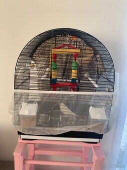 Darujem Zebričky aj z klietkou a doplnkamy