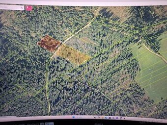 Predám lesný pozemok - 1