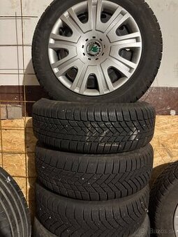 zimna sada skoda rapid