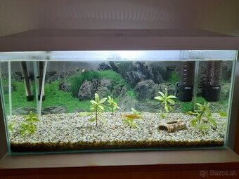 Komplet 60l akvárium.