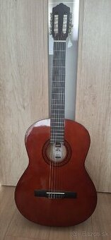 Akustická gitara Ashton