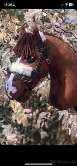 Hobbyhorse