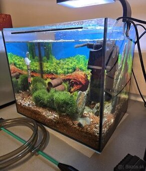 Predám akvárium, krevetkárium 25l, zariadené