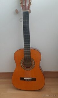 Akustická gitara