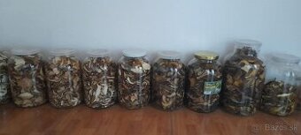 predám sušené  huby rok 2025