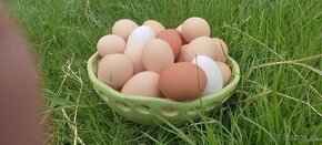 Domáce vajíčka ✓✓✓;