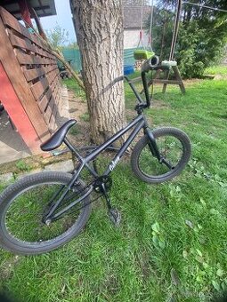 BMX Galaxy earl bird
