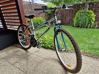 Dámsky bicykel - 1