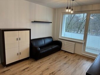 Prenajom 1 izboveho bytu Zilina