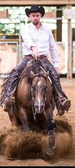 QH kobyla