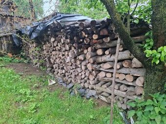 Palivové drevo suche