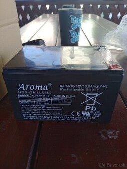 12v 10.0Ah/20hR