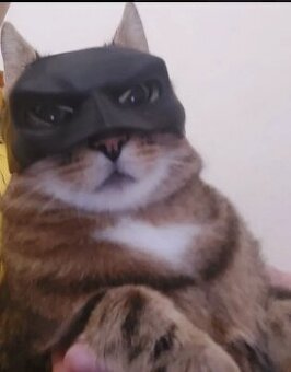 Batman maska pre mačku