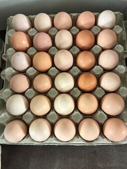 Predám domáce vajcia