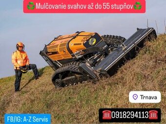 Čistenie pozemkov od náletovych drevín/Mulčovanie/Pílenie
