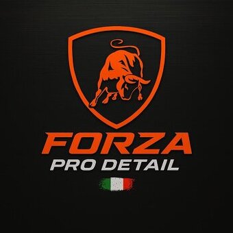 Forza Pro Detail-Prémiové detailingové štúdio